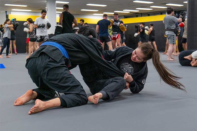 Sydney BJJ training - Brazilian Jiu Jitsu Classes at Movement Martial Arts