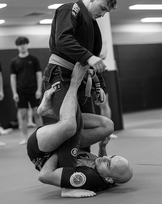 Sydney BJJ - Brazilian Jiu Jitsu training at Movement Martial Arts